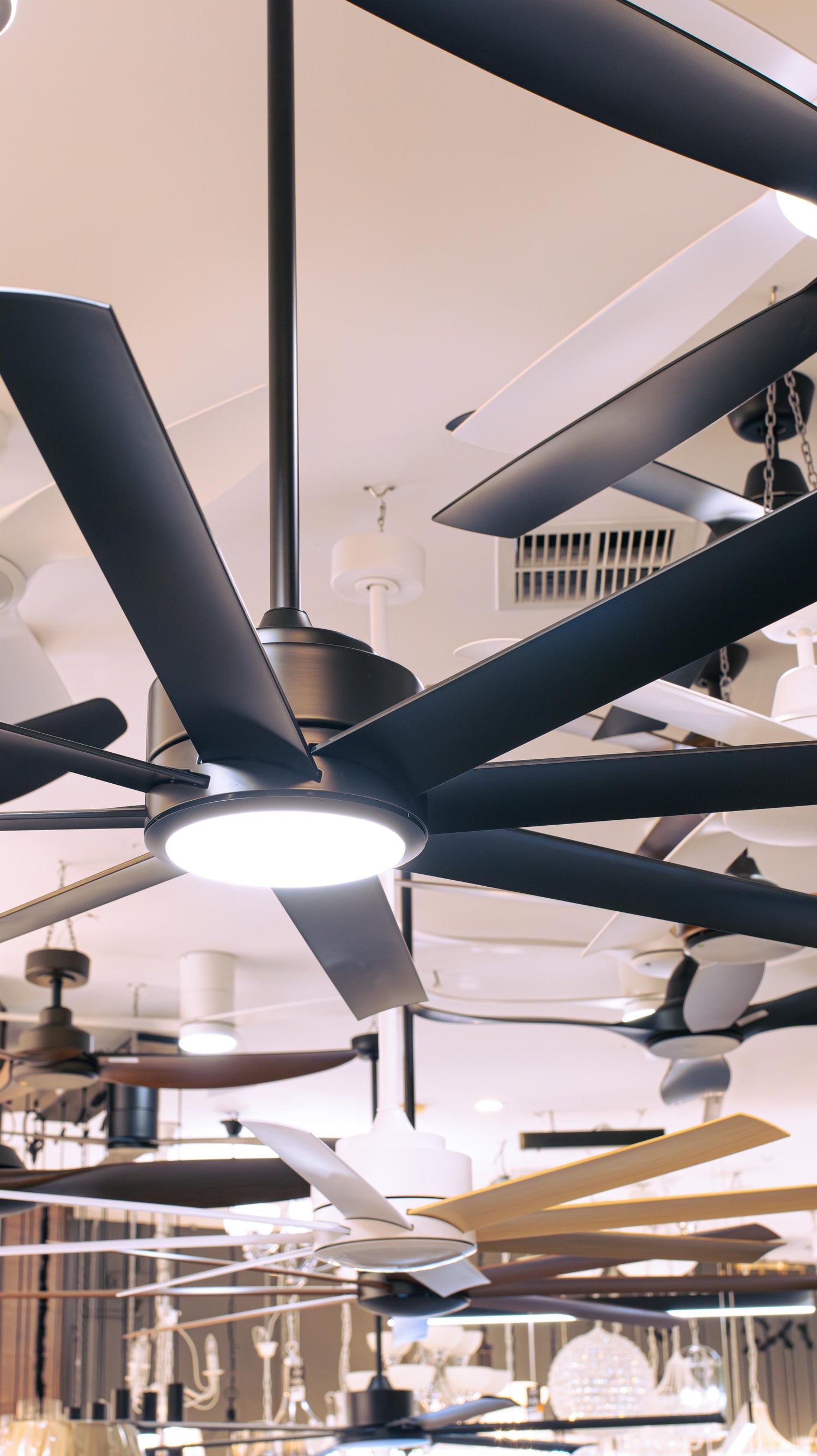 Ceiling Fans