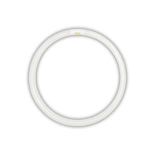 T5 Circular Tube Fluorescent