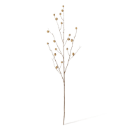 Berry Pod-Dried-Natural