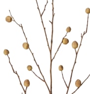 Berry Pod-Dried-Natural