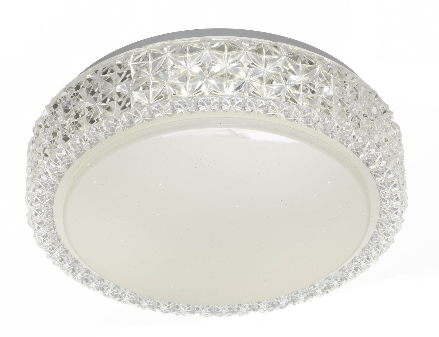 Amelia Oyster Light