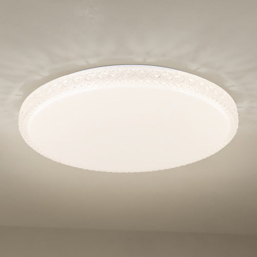 Delilah LED Oyster Light Large