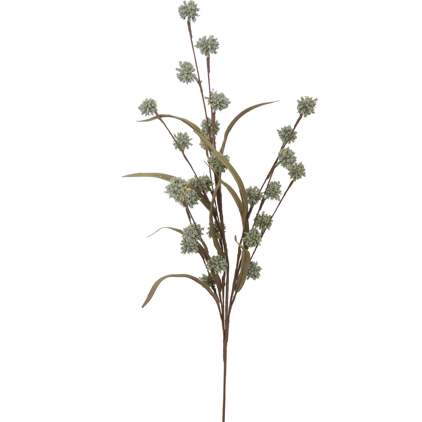 Carinata Flower Green
