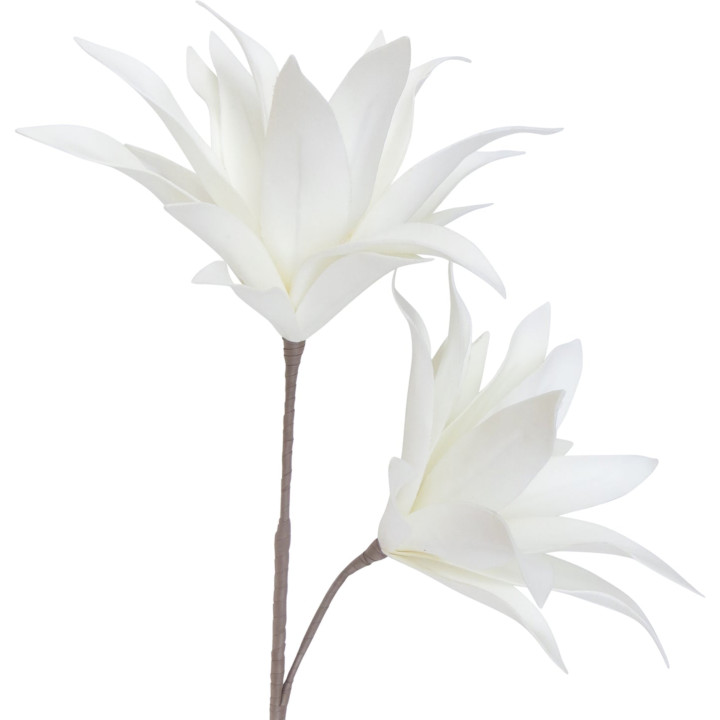 Lil Bloomin White