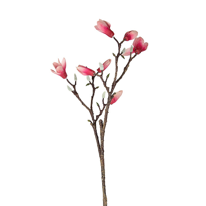 Eve Poly Magnolia Spray Coral