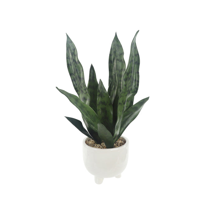 Hoyle Ceramic Premade
