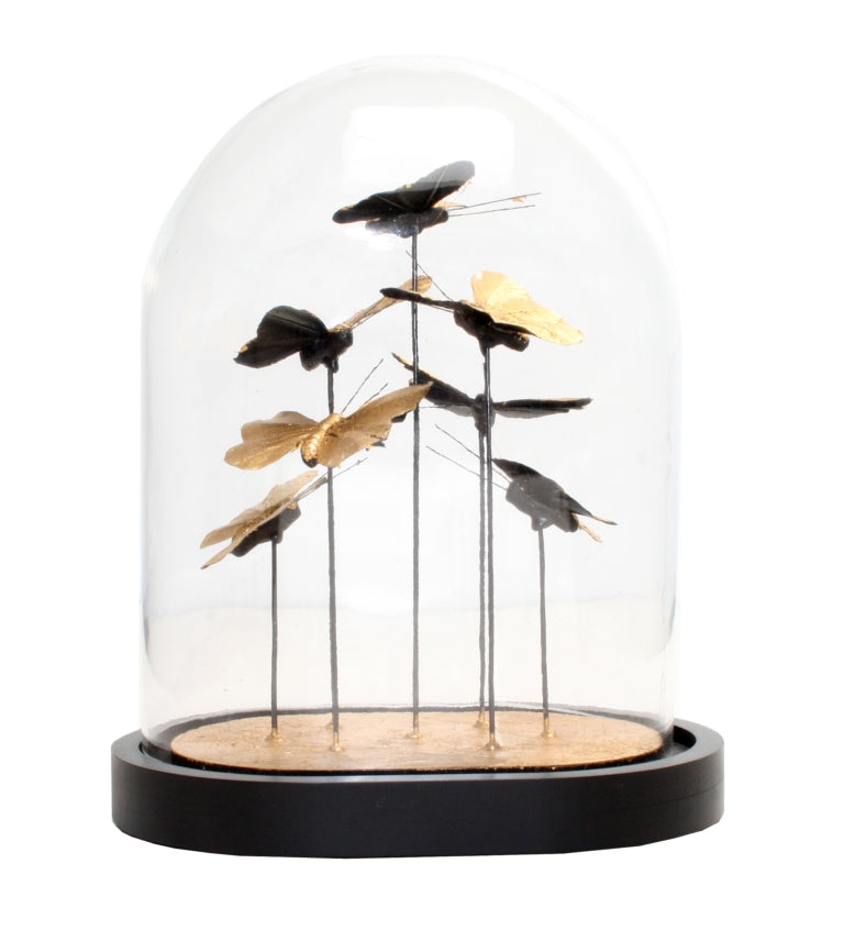 Cloche Butterfly Dome