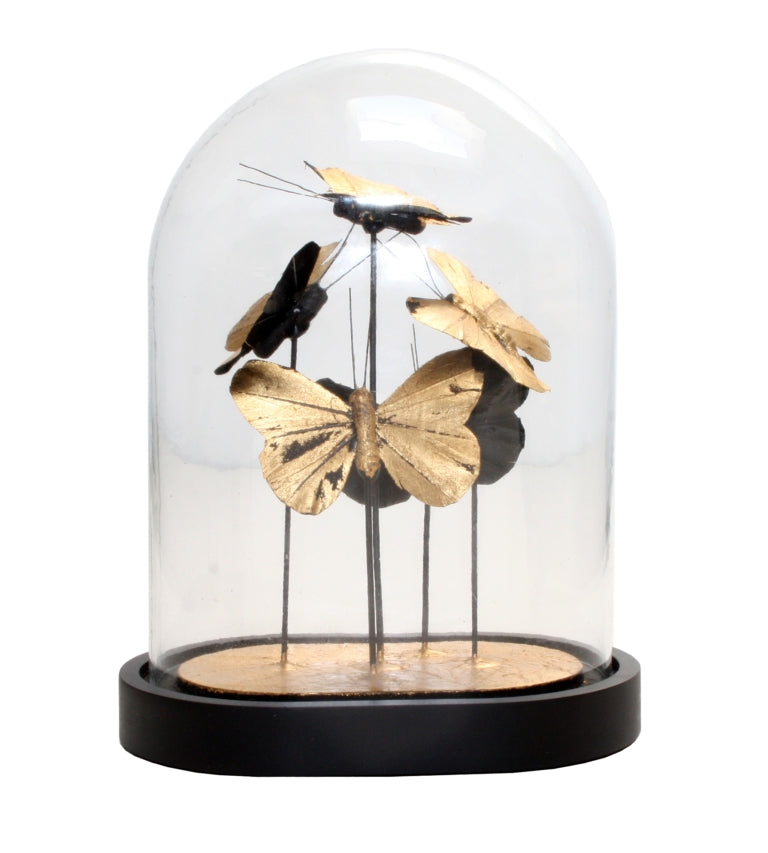 Cloche Butterfly Dome