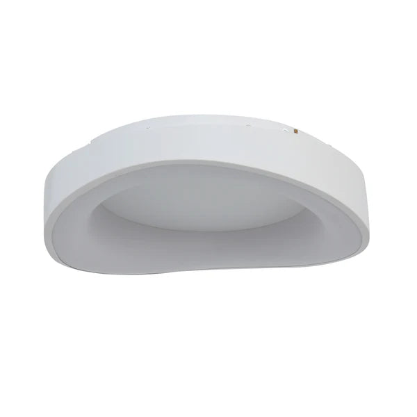 Hayley LED CTC Light LARGE