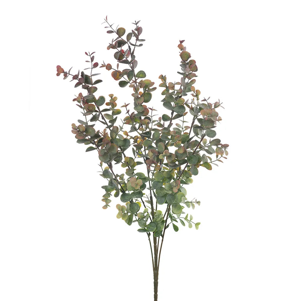 Eucalyptus Bush