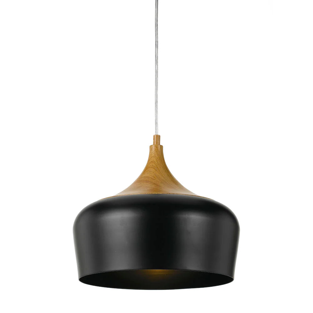 Polk30 Single Pendant