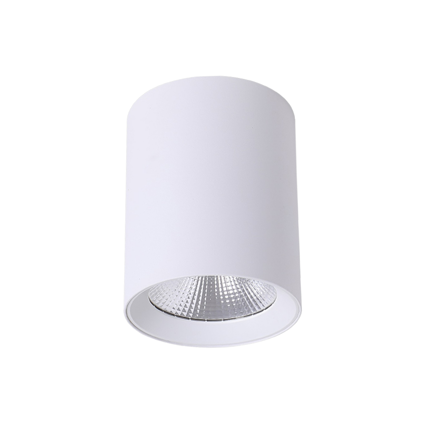 Paco LED Tricolour Surface Mount Downlight