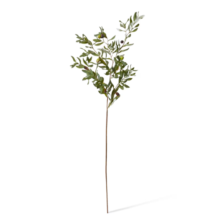 Olive Rocca Spray
