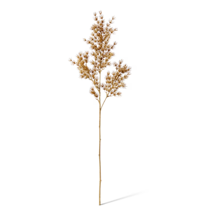 Asparagus Leaf Spray