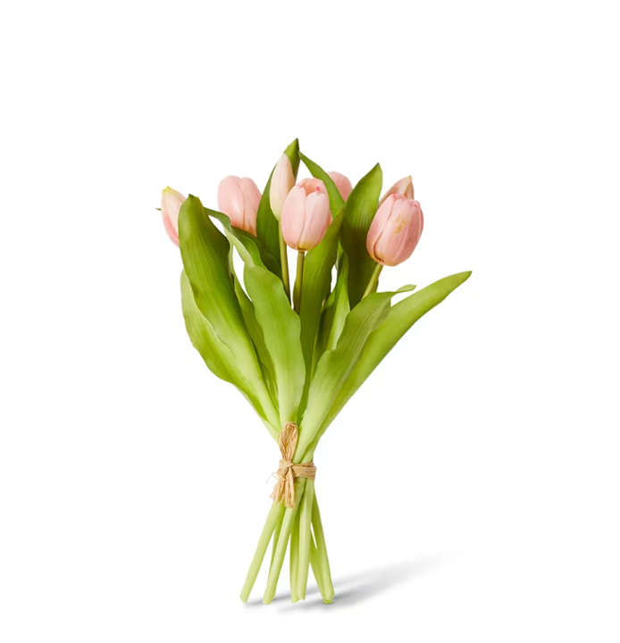 Tulip Petite Bundle