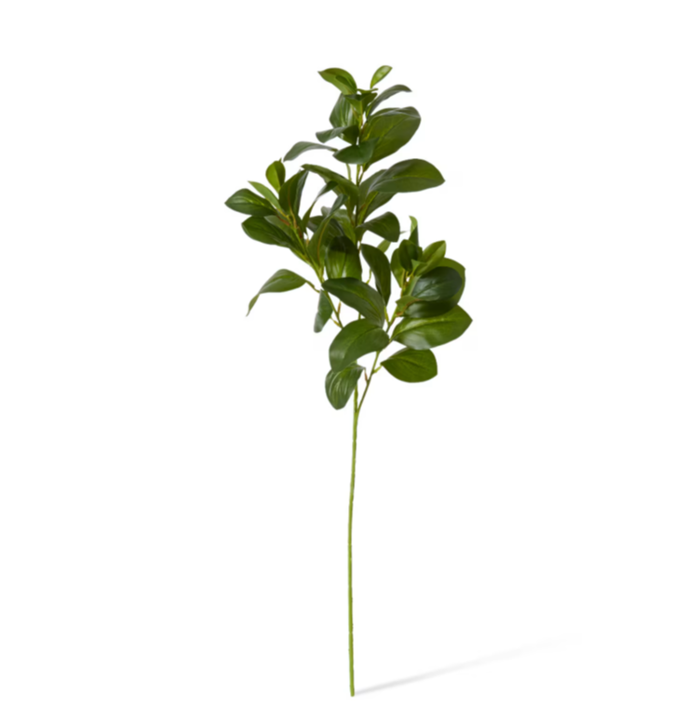 Lush Leaf Spray