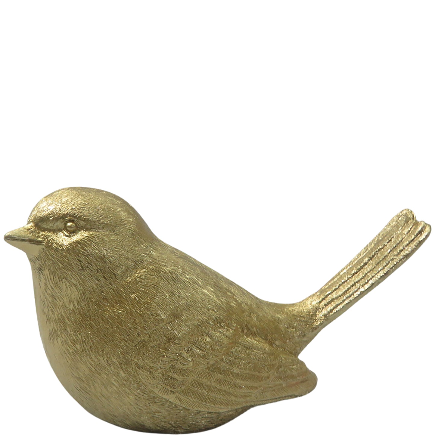 Gold Wren
