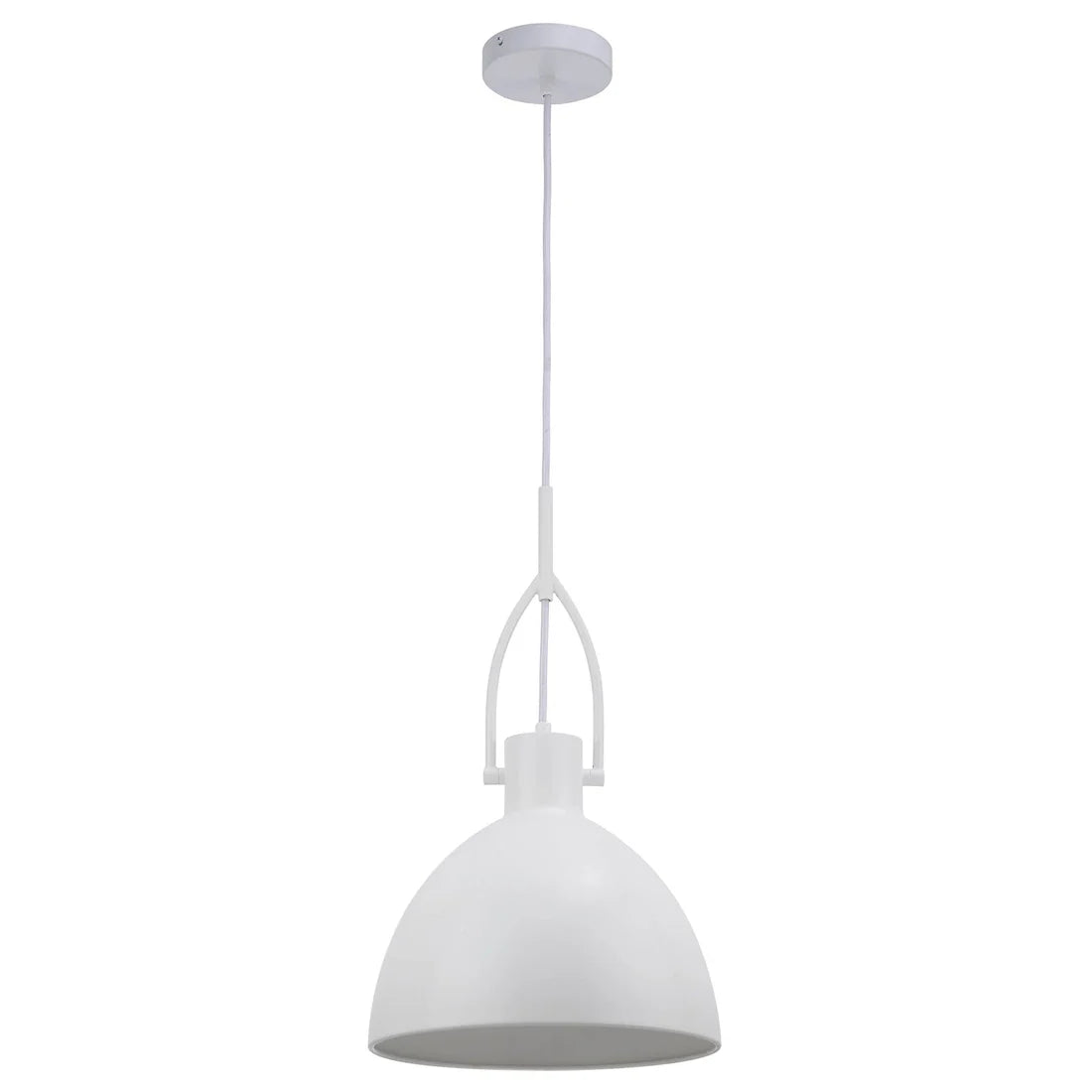 Terrence 1 Light Pendant