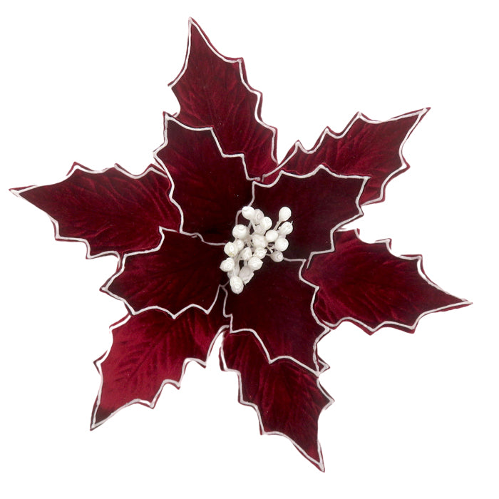 Clip On Poinsettia Burgundy White Trim