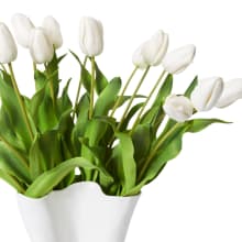 Tulip Dutch Stem-Kerry Vase