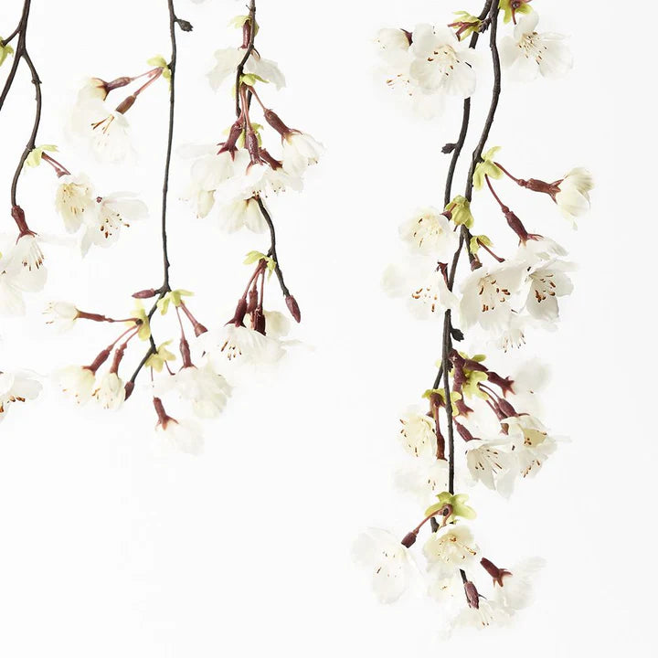 Cherry Blossom Hanging