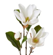 Magnolia River Spray