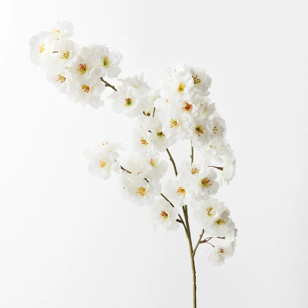 Blossom Apple Stem
