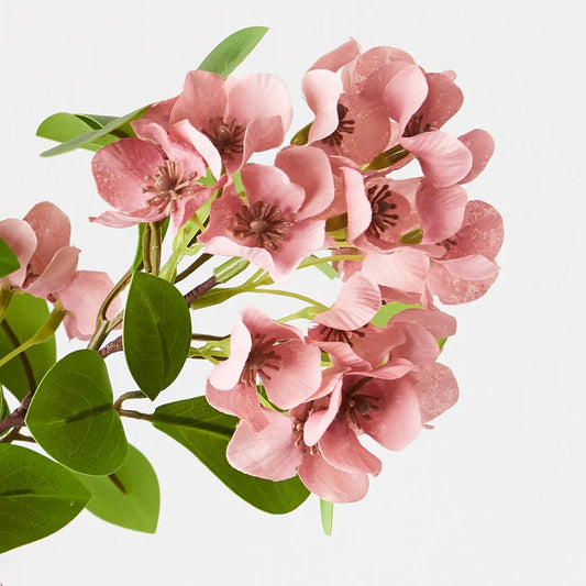 Snow Flower Spray Pink