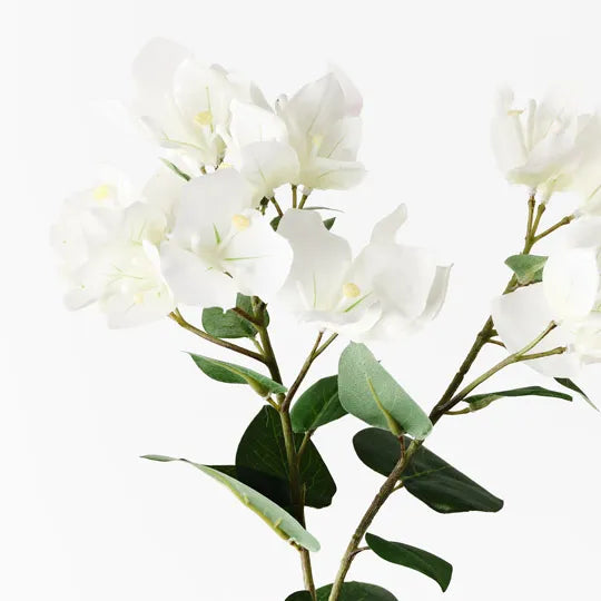 Bougainvillea Spray - FI10444WH