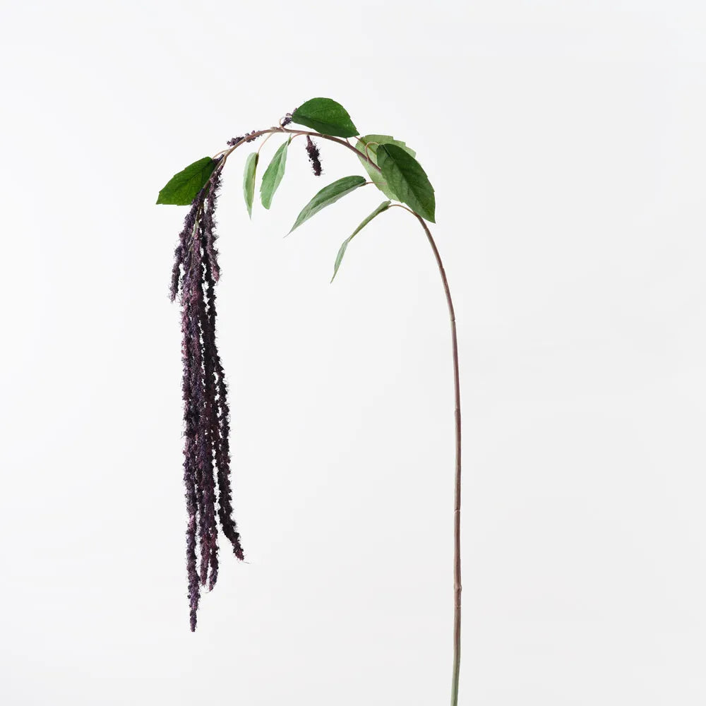 Amaranthus Spray Plum