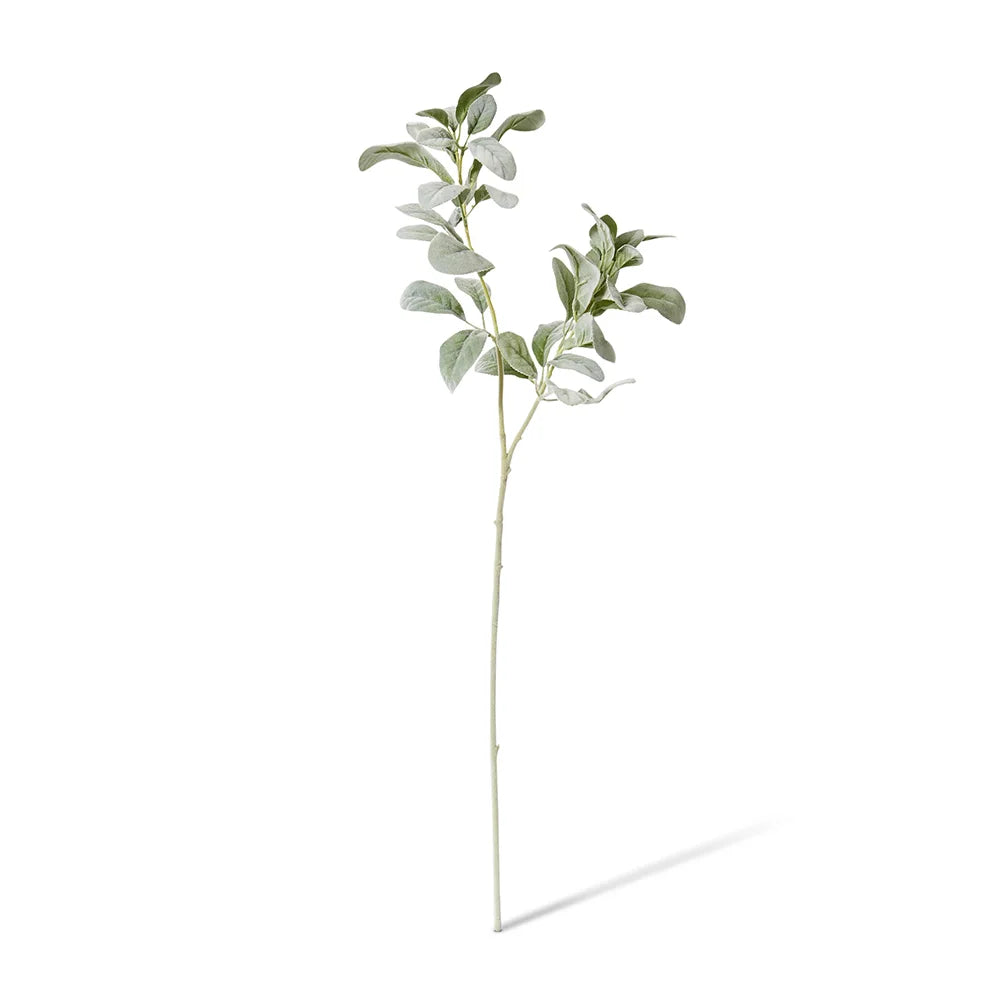 Lambs Ear Leaf Spray Grey/Green