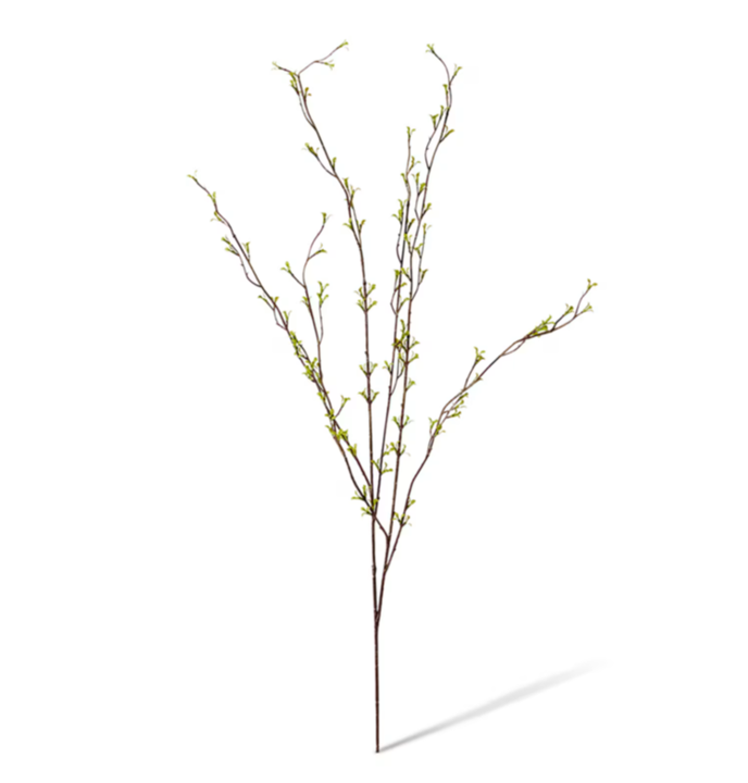 Spring Bud Leaf Spray