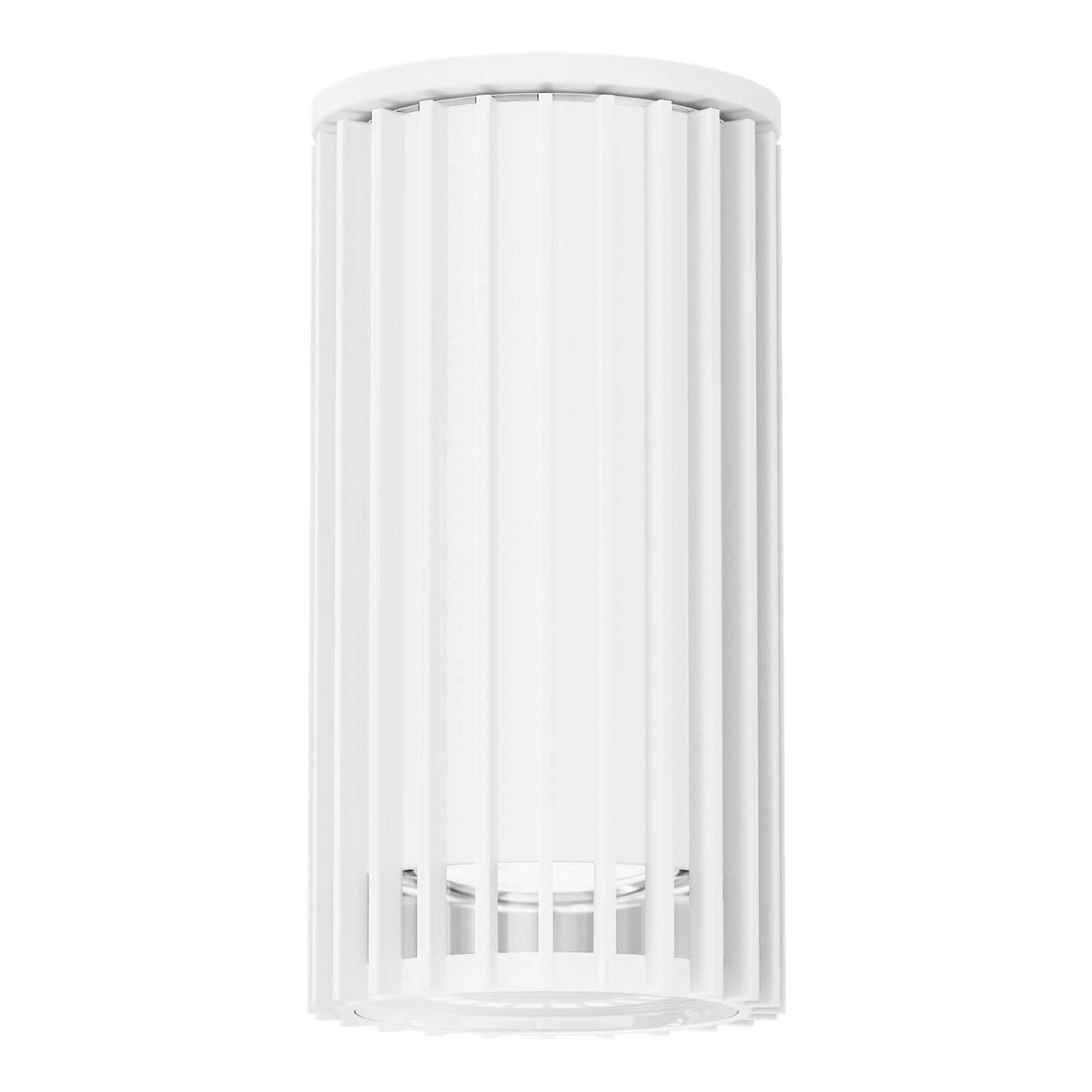 Stria1 Surface Mount Light