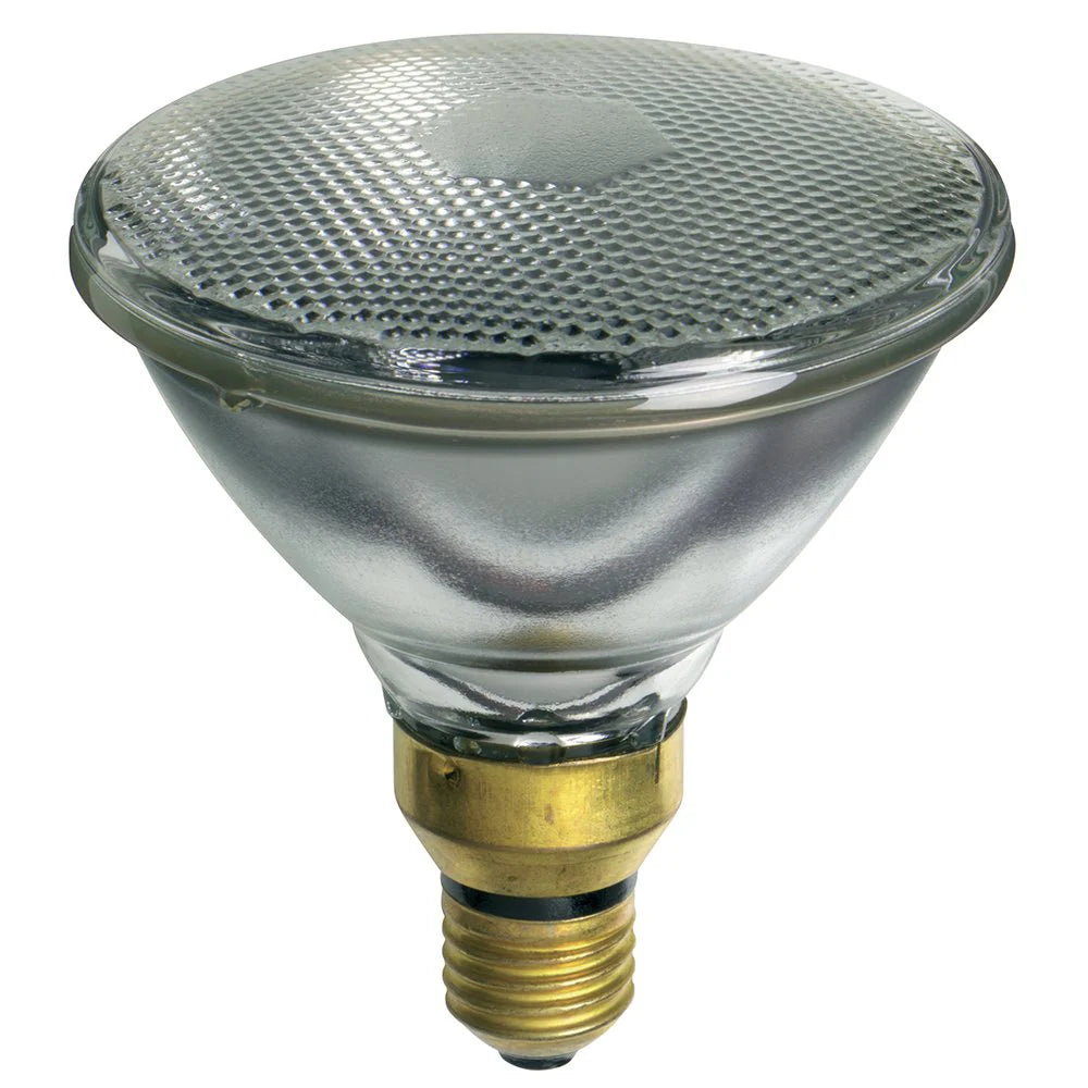 PAR38 Halogen Flood Globe 120w