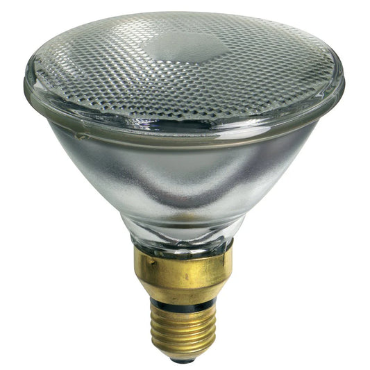 PAR38 Halogen Flood Globe 120w