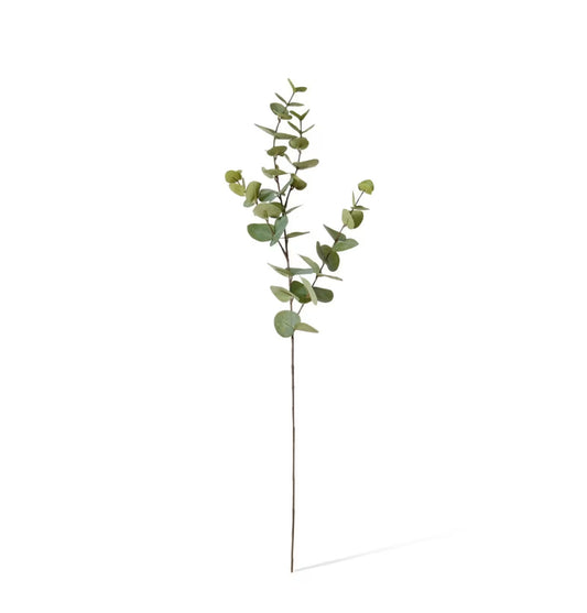 Eucalyptus Dollar Spray