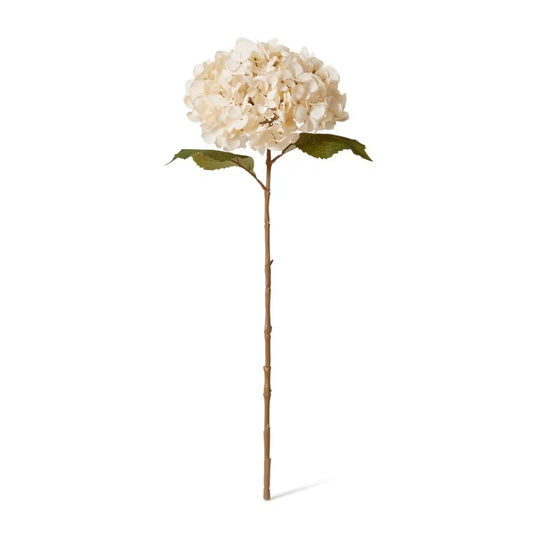Hydrangea Ivory Stem 66cm