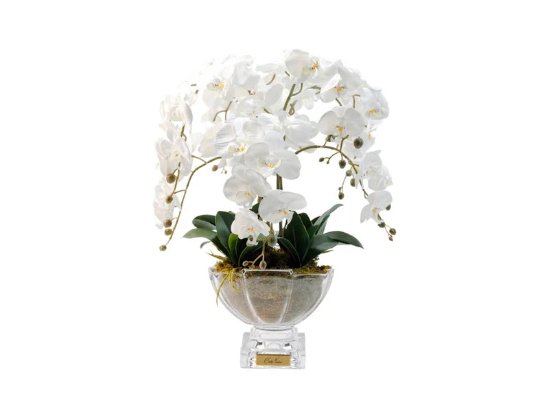 Luxury Centrepiece - Orchid Ivory White & Gold Badge - CPO01
