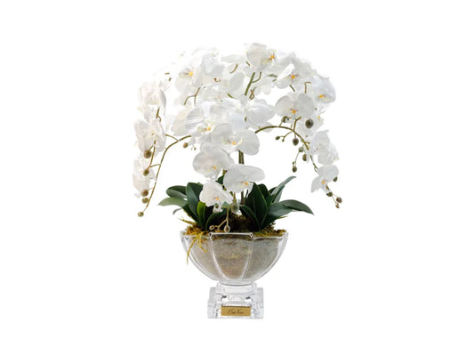 Luxury Centrepiece - Orchid Ivory White & Gold Badge - CPO01
