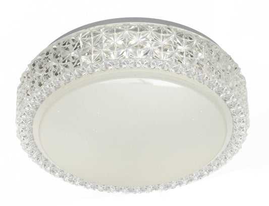 Amelia Oyster Light