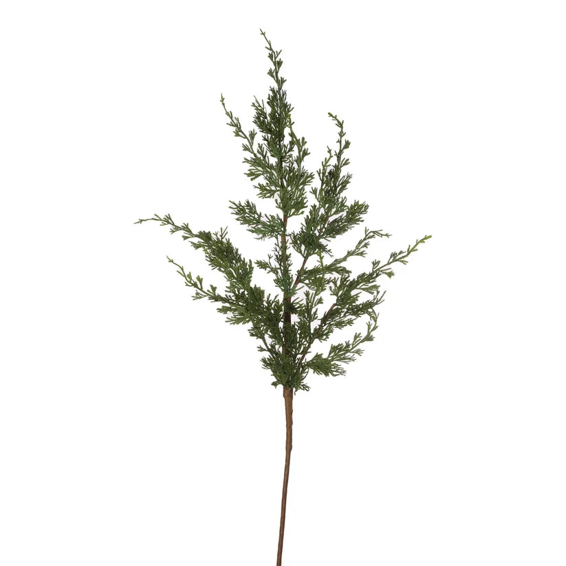 Wild Conifer Pick