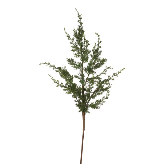 Wild Conifer Pick