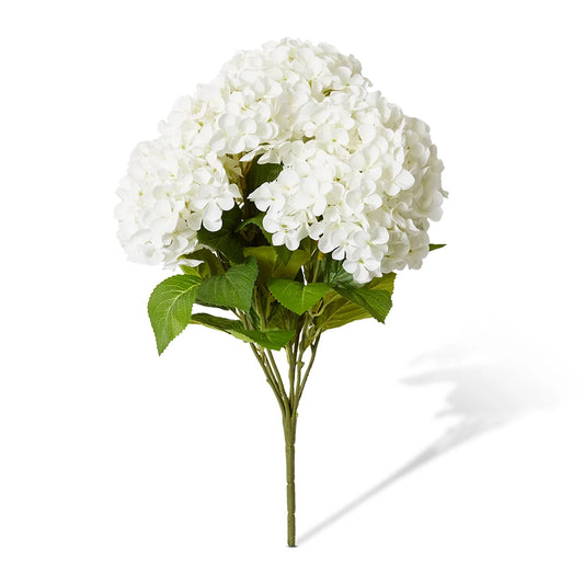 Hydrangea Garden Bush White