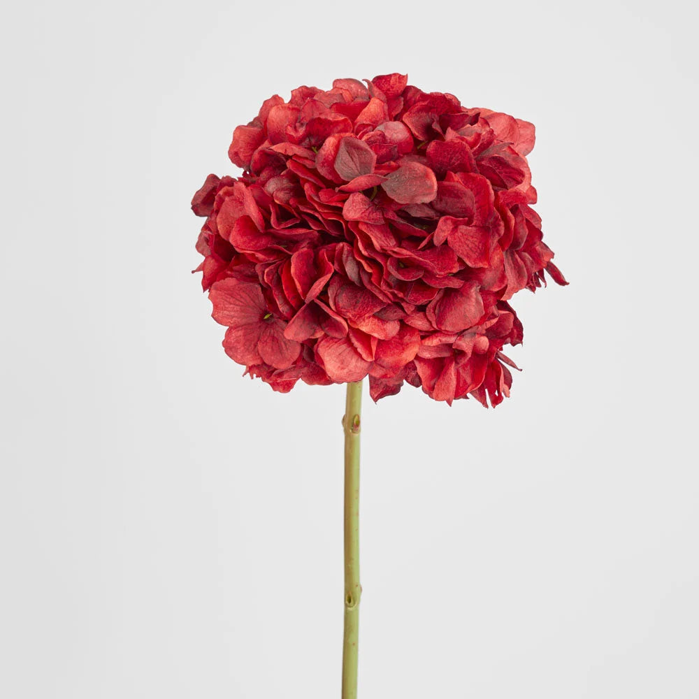 Hydrangea Flower Stem 48cm Red