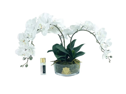 Orchid Bouquet - Ivory White & Gold Badge - OOV01