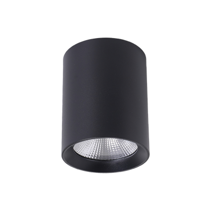 Paco LED Tricolour Surface Mount Downlight