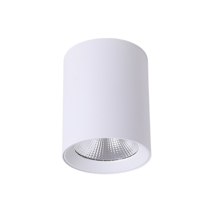 Paco LED Tricolour Surface Mount Downlight