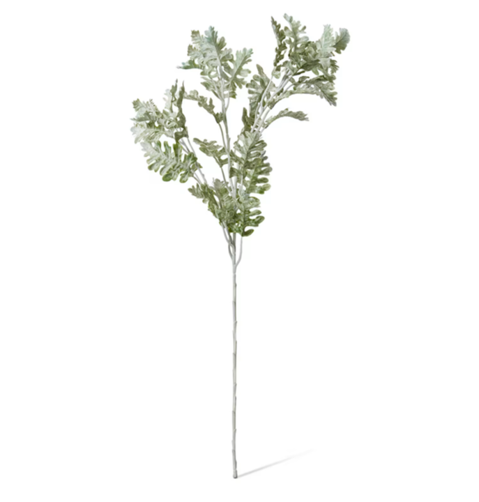 Dusty Miller Spray