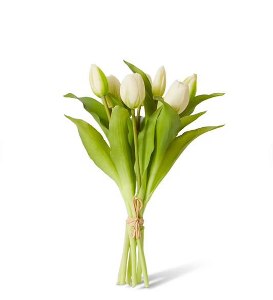 Tulip Petite Bundle