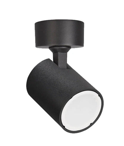 SPOT Adjustable Single Light